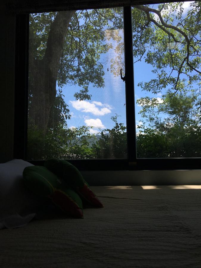 麵包樹舍 Breadfruit B&B Guangfu Zewnętrze zdjęcie